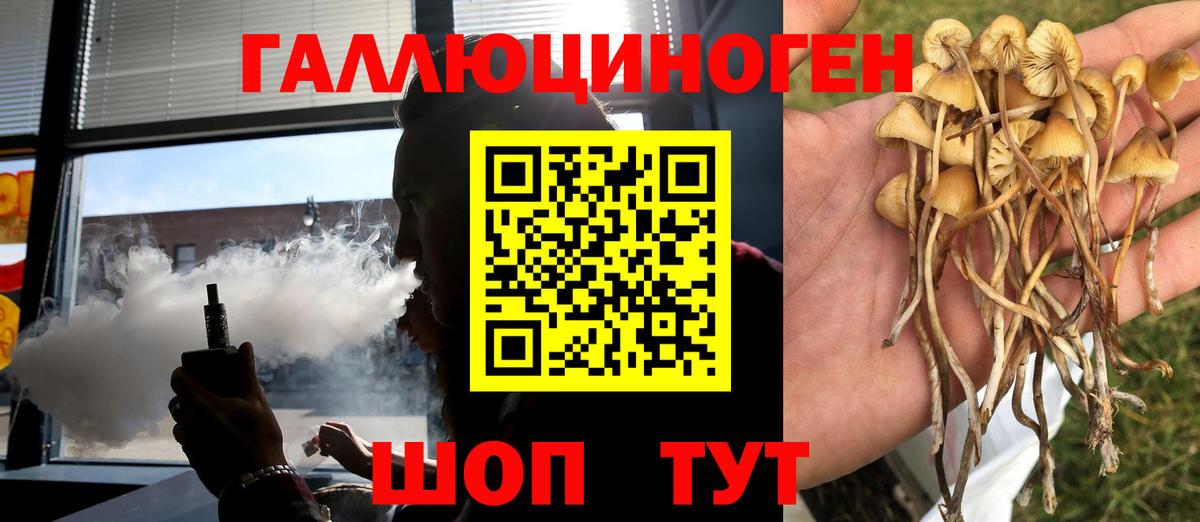 Георгиевск  Галлюциногенные грибы MAGIC MUSHROOMS  Вход с VPN 